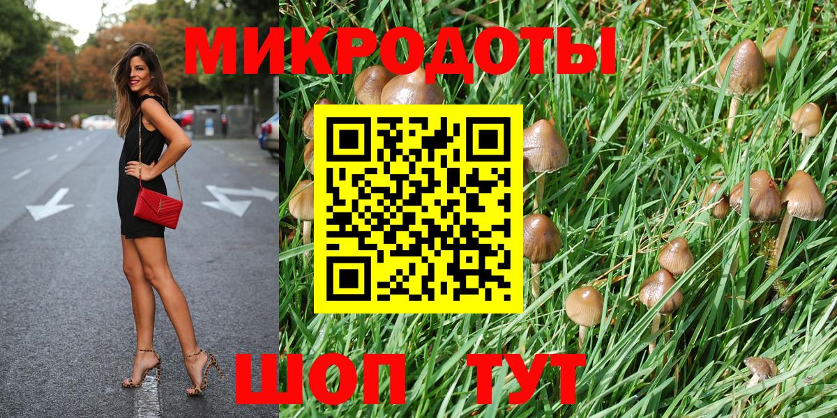 Галлюциногенные грибы GOLDEN TEACHER Казань