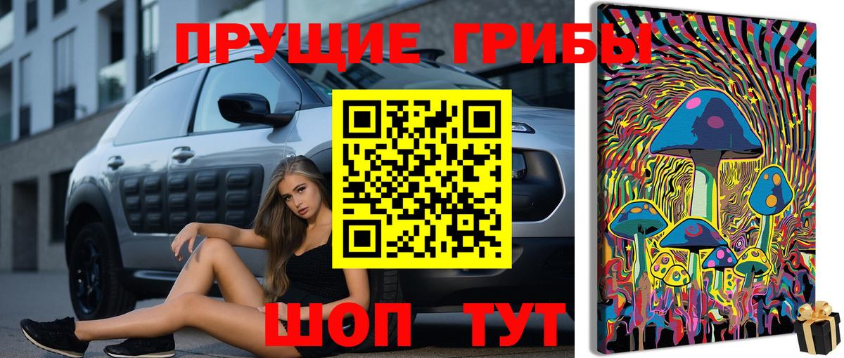 Казань  купить  цена  Вход с VPN  Галлюциногенные грибы Cubensis  Псилоцибиновые грибы Psilocybe 